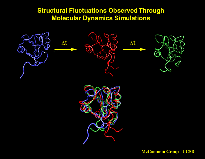 [ Structural fluctuation ]