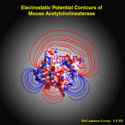 [ Electrostatic potential ]