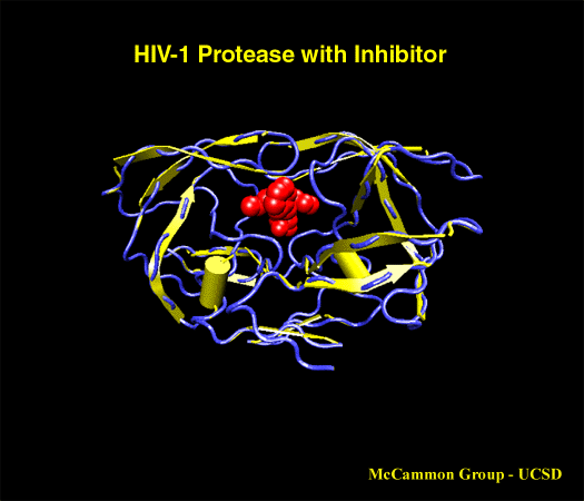 HIV protease with inhibitor