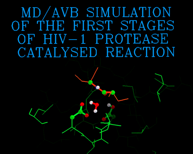 [ MD/AVB Simulation of HIV-1 Protease Catalysis ]