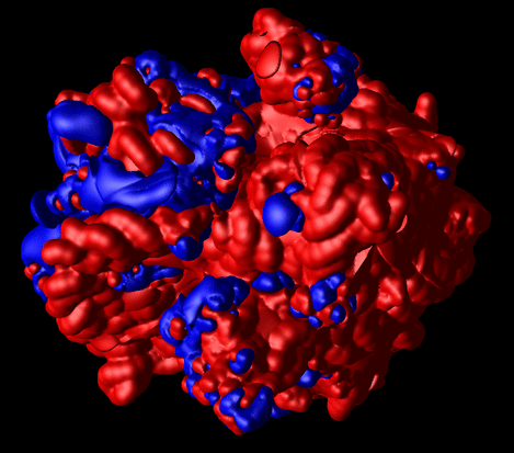 [ Ribosome electrostatics ]