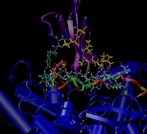 [ 019_fasache_inter.jpg ]