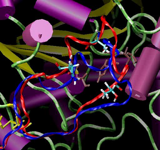 [ 019_sidedoor.jpg ]