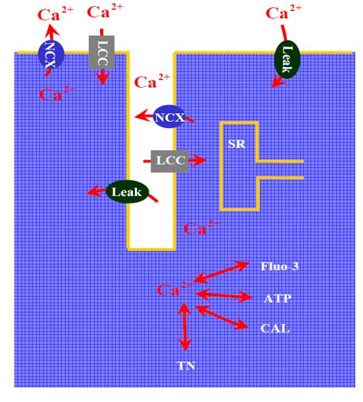 IED Screenshot